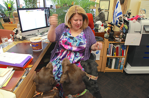 Les chiens répondent au doigt et à l'oeil à leur maîtresse